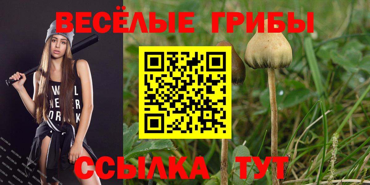 Галлюциногенные грибы прущие грибы  Псилоцибиновые грибы мухоморы  Урюпинск  Вход с VPN 